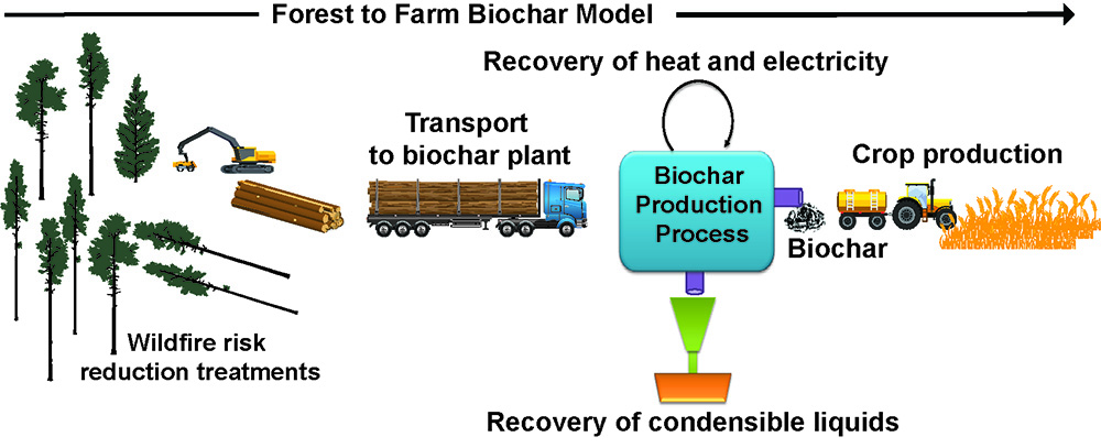 Biochar Graphic